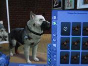 The Sims 2 Pets (PC)