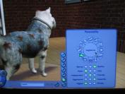 The Sims 2 Pets (PC)