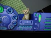 The Sims 2 Pets (PC)