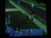 The Sims 2 Pets (PC)