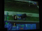 The Sims 2 Pets (PC)