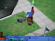 The Sims 2 Pets (PC)