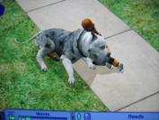 The Sims 2 Pets (PC)