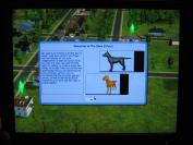 The Sims 2 Pets (PC)