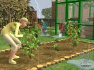 The Sims 2: Seasons - Screenshot