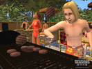 The Sims 2 Seasons