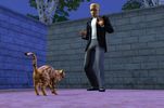 The Sims Pets Stories