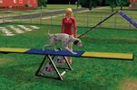 The Sims Pets Stories