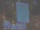 Hiring a Sim