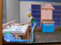 The Sims 2 Consoles