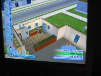 The Sims 2 Consoles