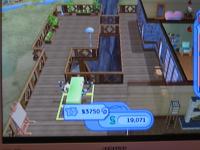 The Sims 2 Consoles