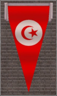 Tunisia-flag Preview