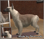 Llama Dog Preview