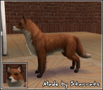 Fox Dog Preview