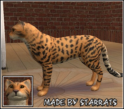 Pet Cheetah Preview