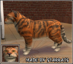 Pet Tiger Preview