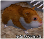 Hidden Womrat/Hamster Preview