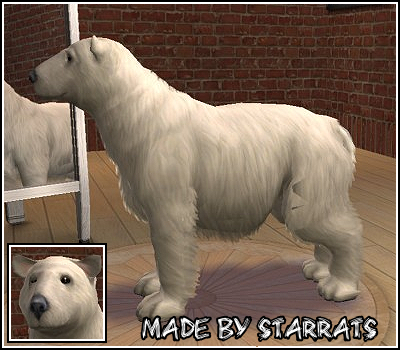 Polar Bear Preview