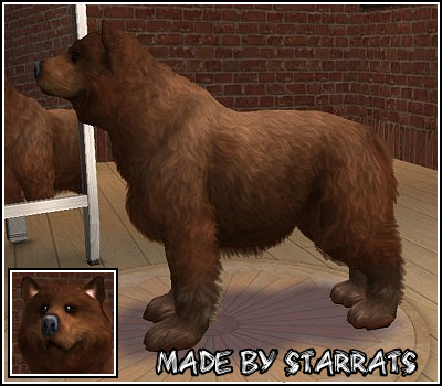 Brown Bear Preview