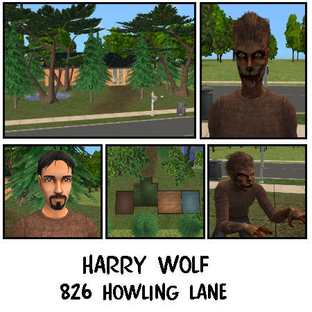 826 Howling Lane Preview