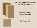 Carpet and Paint Coordinates Preview