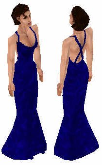 Blue Long Dress Preview