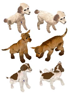 Puppy Pack Preview