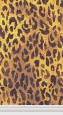 Cheetah Spots Wall Preview